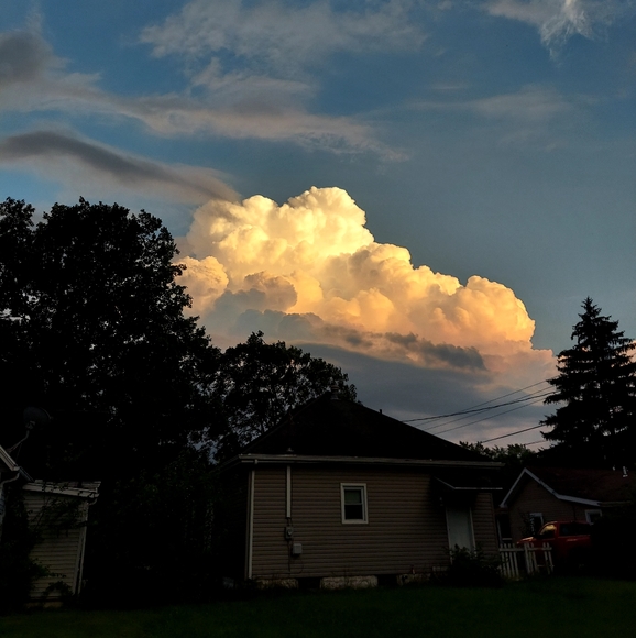 Meet your Posher, Nicole - Picture 1 of 1